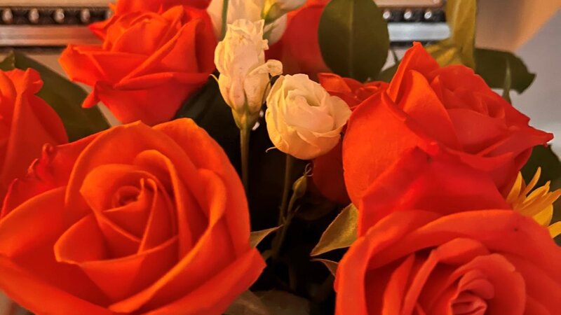 coral roses in a vase in front of a reflection