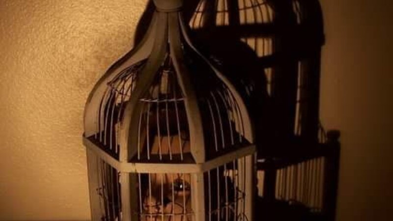 Set Free
