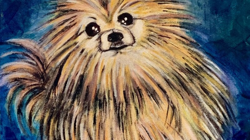 Acrylic Pet Painting