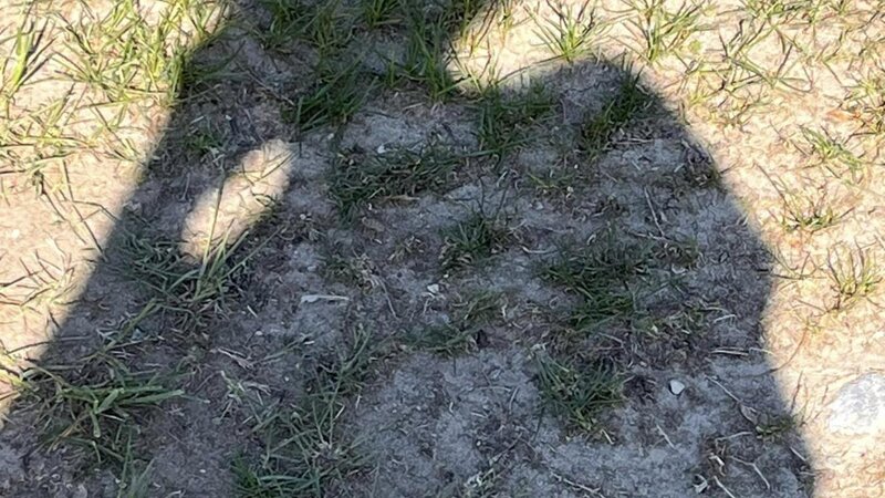 shadow of a person on the bare grass