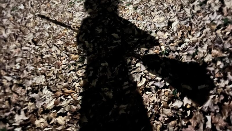 the shadow of a witch