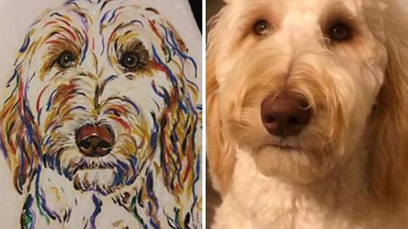 White Poodle Mix dog picture side by side with rock painting.