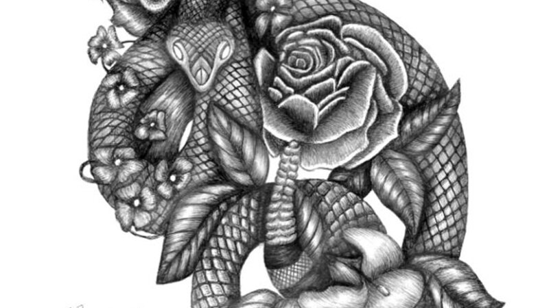 Pen and Ink Snake Face Tattoo idea