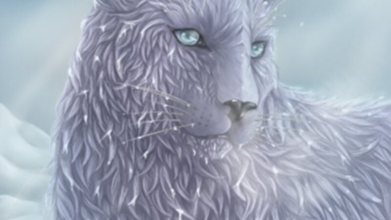 Snow Cat 