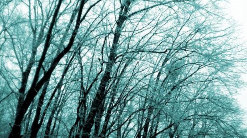 Blue Winter 