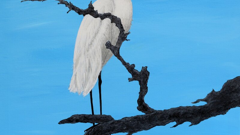 Snowy Egret