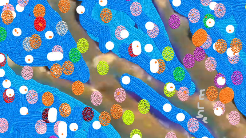 Microbiome and Spring Fracture of My Favorite Ankle