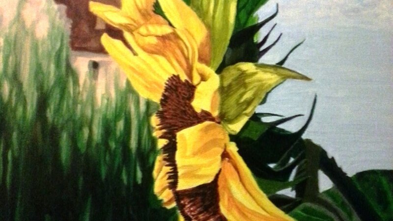 Sunflower AtTombs Castle