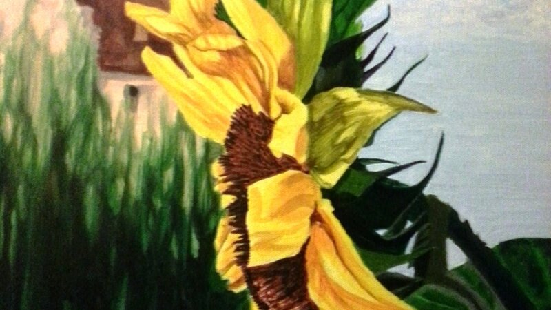 Sunflower AtTombs Castle