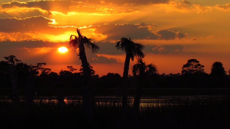 Wetlands Sunset