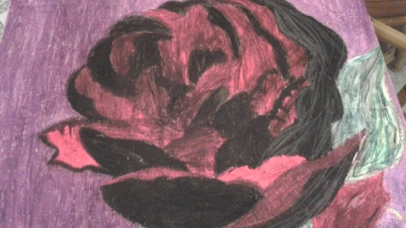 The beauty of a rose