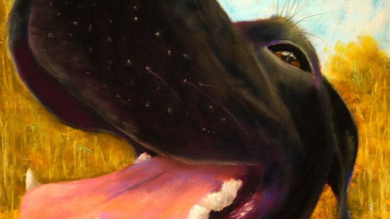 The Most Interesting Dog in the World