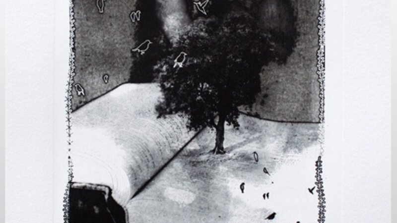 The Tree of Knowledge