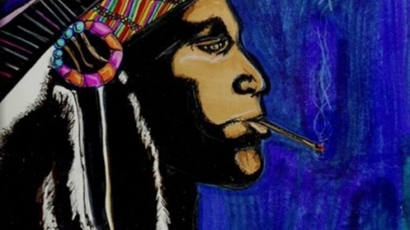 The Native