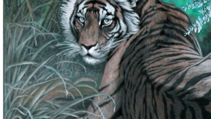 Tiger