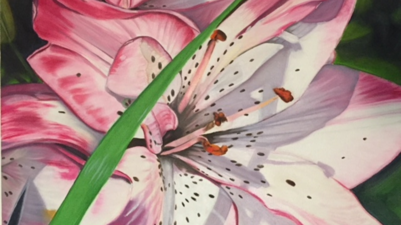 Tiger Lily