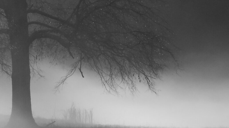 Winter Pond Black & White