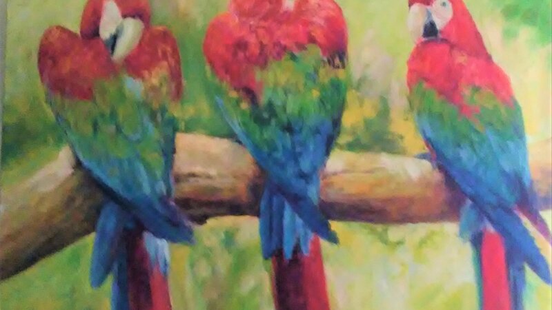 Three Tropical Macaos on a branch.