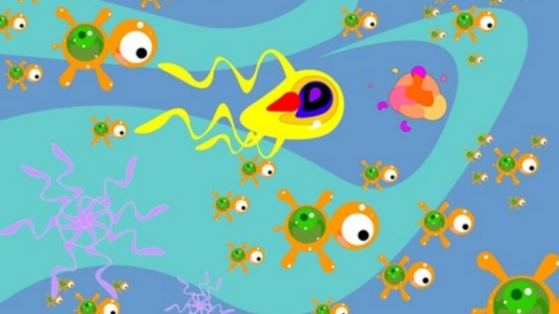 Bale of infiniteye turtles