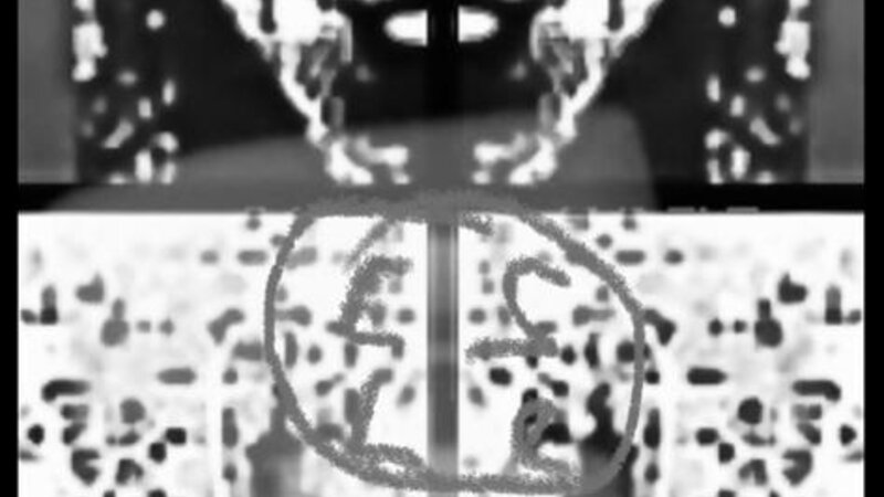 Rusalkas on Land- Twin dancers and their pitbull Tommy 