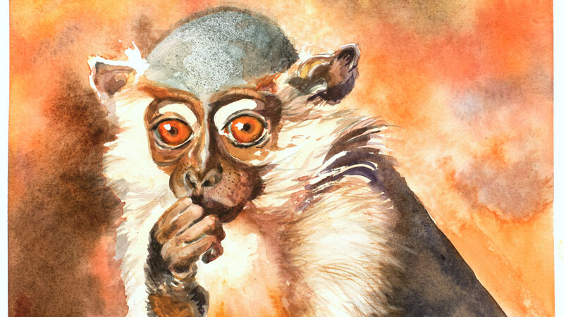 Uncle Monkey watercolor painting