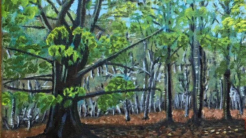 Vermont Woods