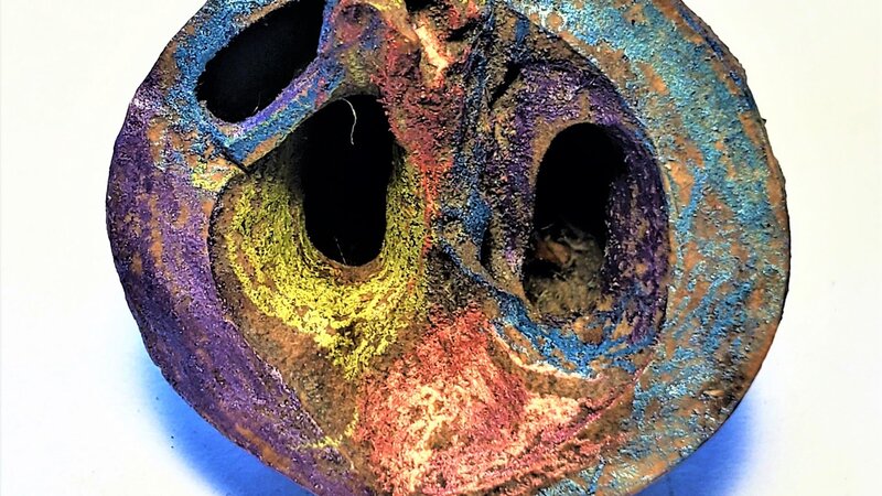 Half shell walnut, painted with prismacolor pencils, oil pastels