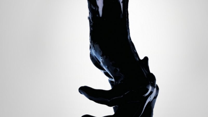 Watching From Above the Trees