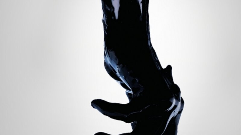 Watching From Above the Trees