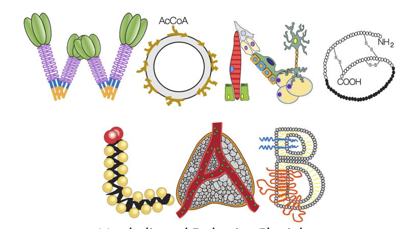 Wong Lab Logo1