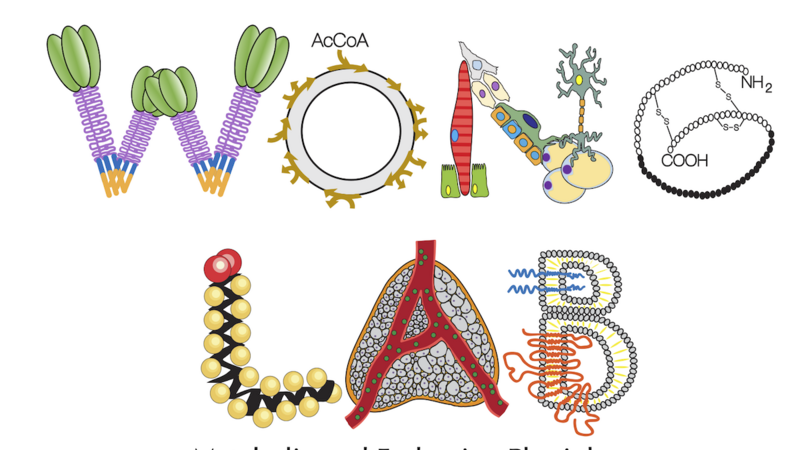 Wong Lab Logo1