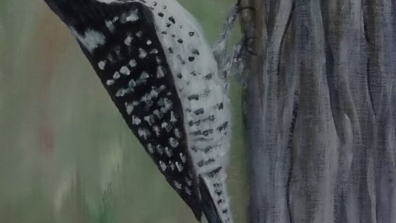 Woodpecker