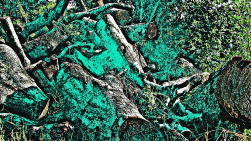Wood Pile in Green