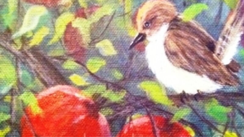Wren & Apples