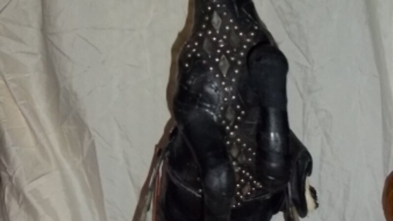 Cowboys Pet