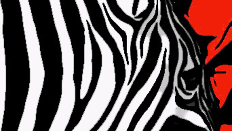 Zebra 2