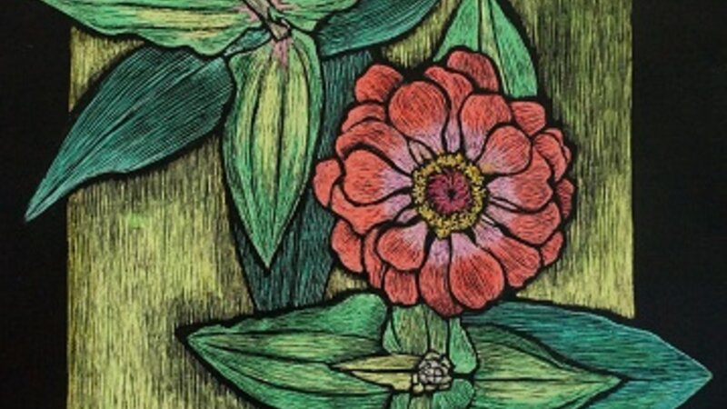 Zinnia