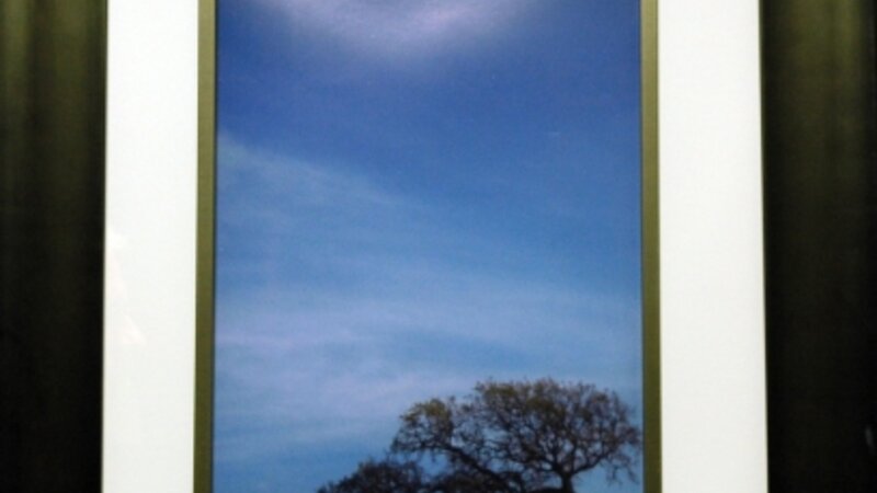 8th Annual Exhibit Center of Attention