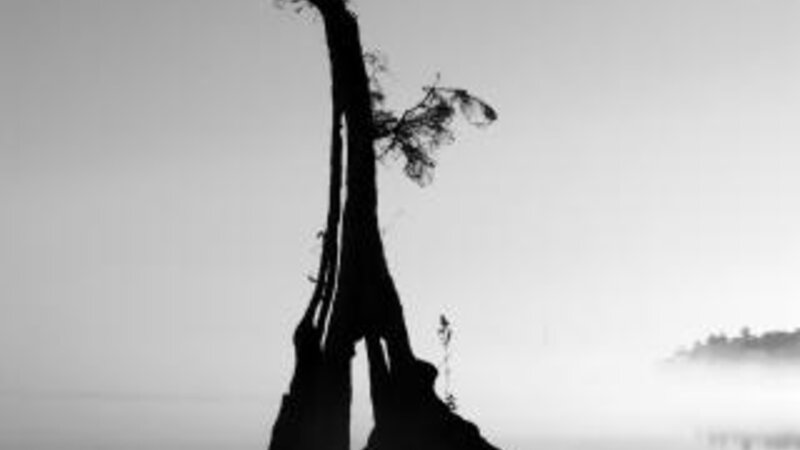 4th Annual Exhibit Solitude