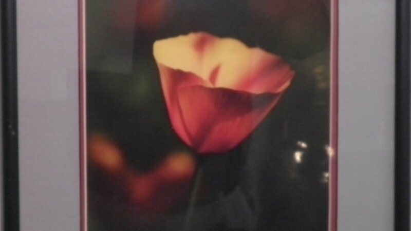 2nd Annual Exhibit Flame