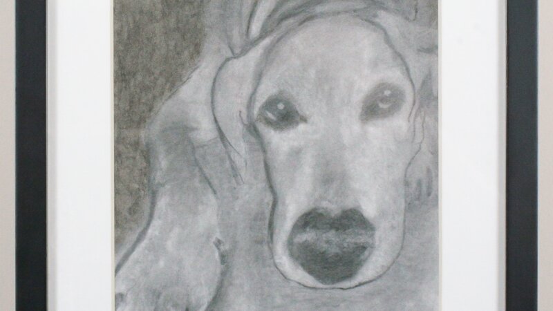 9th Annual Exhibit Bailey