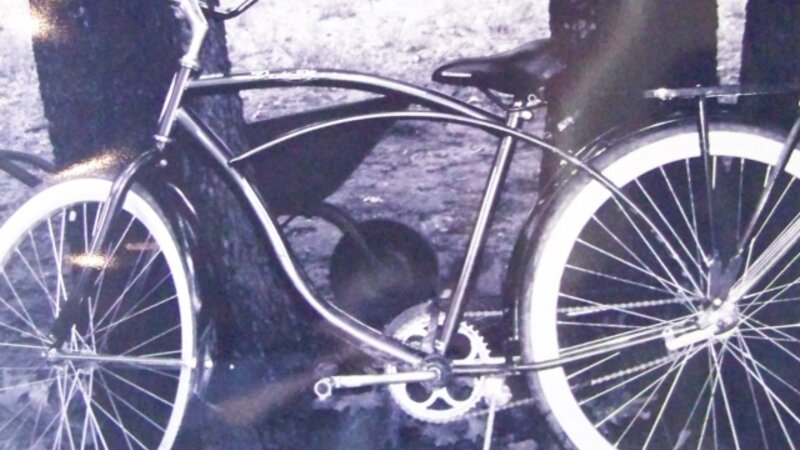 20th Annual Exhibit Treeway Cruiser