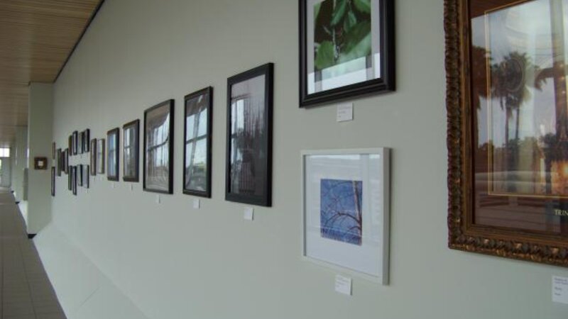 5th Annual Exhibit Another one of the walls of Adult Artwork 