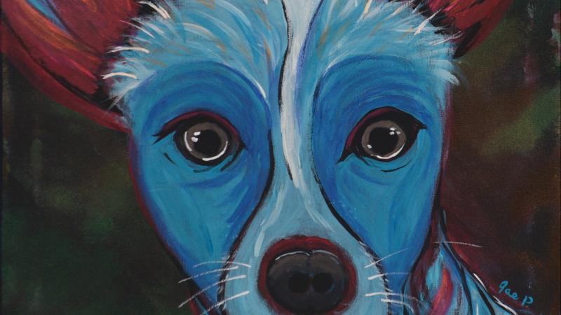 Leo Under the Lights