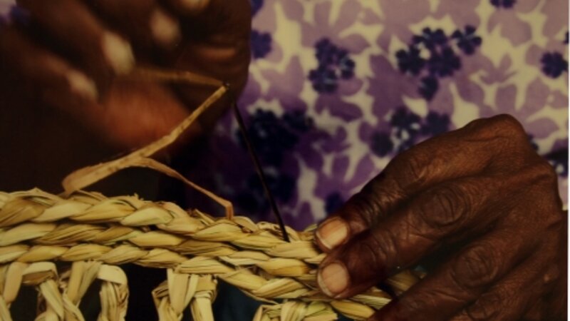 8th Annual Exhibit The Basket Weaver's Hands