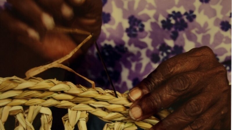 8th Annual Exhibit The Basket Weaver's Hands