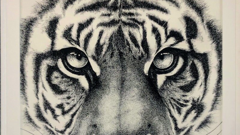 8th Annual Exhibit Snow by Adult Professional Adrian Rugas won Honorable Mention in the UMMC 8th Anuual NAP Exhibit