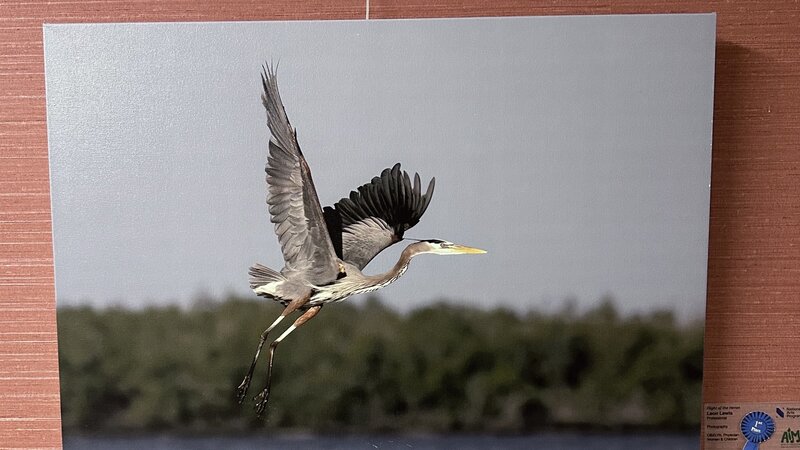 5th Annual Exhibit Flight of the Heron