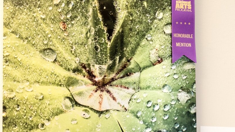10th Annual Exhibit Morning Dew