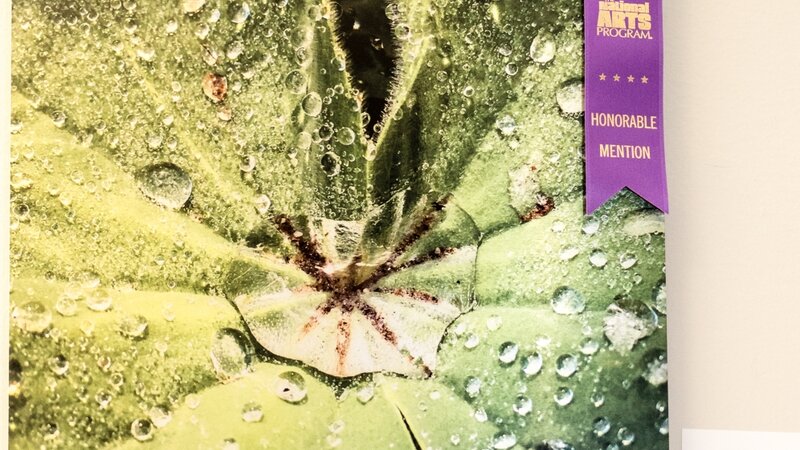 10th Annual Exhibit Morning Dew